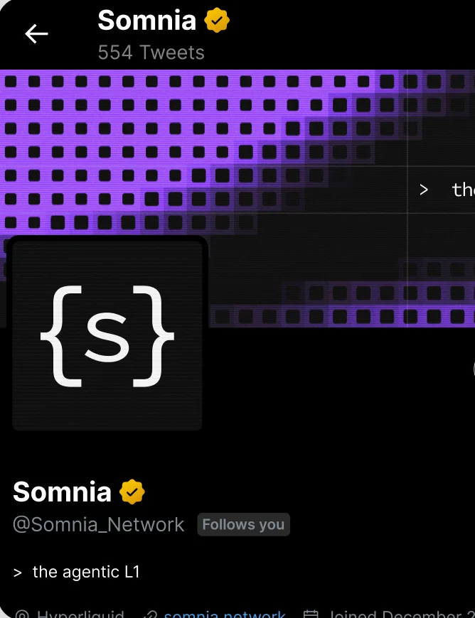 Somnia’s profile on X: the {s} avatar under a header of purple squares